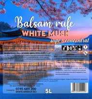 Neagu Jean Adrian PFA 