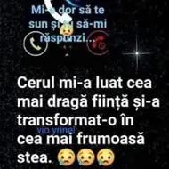 Steff Alina Si Elyssa