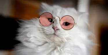 Bogdan-George Munteanu