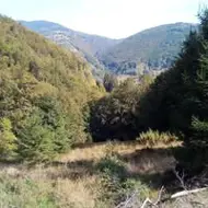 Silviu Aștefănoaie