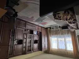 Adelaida Gabriela Baicu Baicu