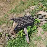 Neculai Marian Maxim