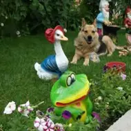 Andrei-Roberto Gavra