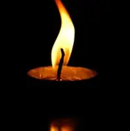 Marin Florin-Nicolae