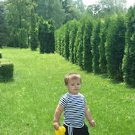 Ciprian Marian Tudor