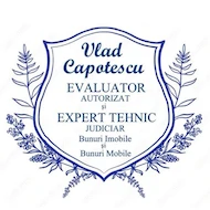 Vlad 