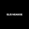 Neagoe Ionut 