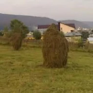 Petru Mindrila