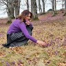 Viviana 