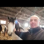 Matei