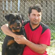 Viorel