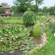 Corpodean Mircea