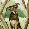 Kampan Anka 