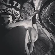 Toby
