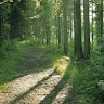 Ion Luminița