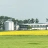 Copeland Crop