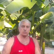 Vasile Balea