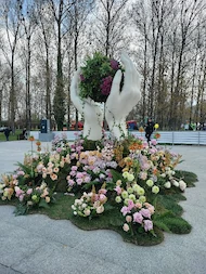 Florin 
