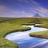 Stelica