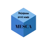 Damian Mesca