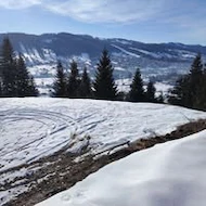 Mihai H