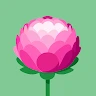 Florin