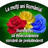 Onea Costel 