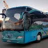 Mircea