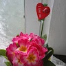 Barsan Florin