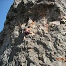 razvan fedorca fedorca