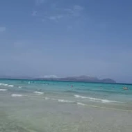 Cristi 