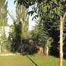 La Brokeria - Dinu Drauceanu 