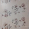 Curaciuc-Florut Gheorghe