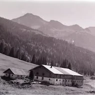 Dan Ionascu