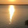 Cristi