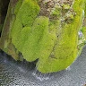 Crisan 