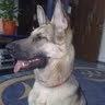 Catalin 