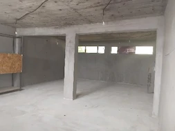 bogdan stela
