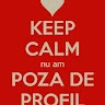 Ionica bradu