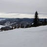 meldav 