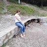 Mirela Mirela