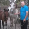 florin enea