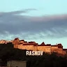 Rasina Alexandru