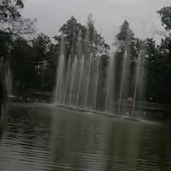 Matei