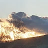 Georgian Ion Lungu