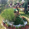  IOSIF