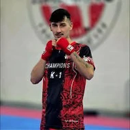 Alin florin