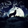 Love Nature