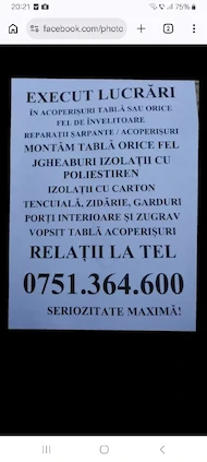 Alex Alex