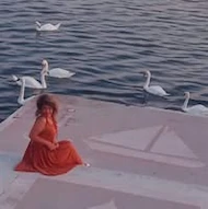 Ioana Tudorache